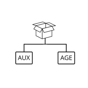 Aux AGE - Temario completo